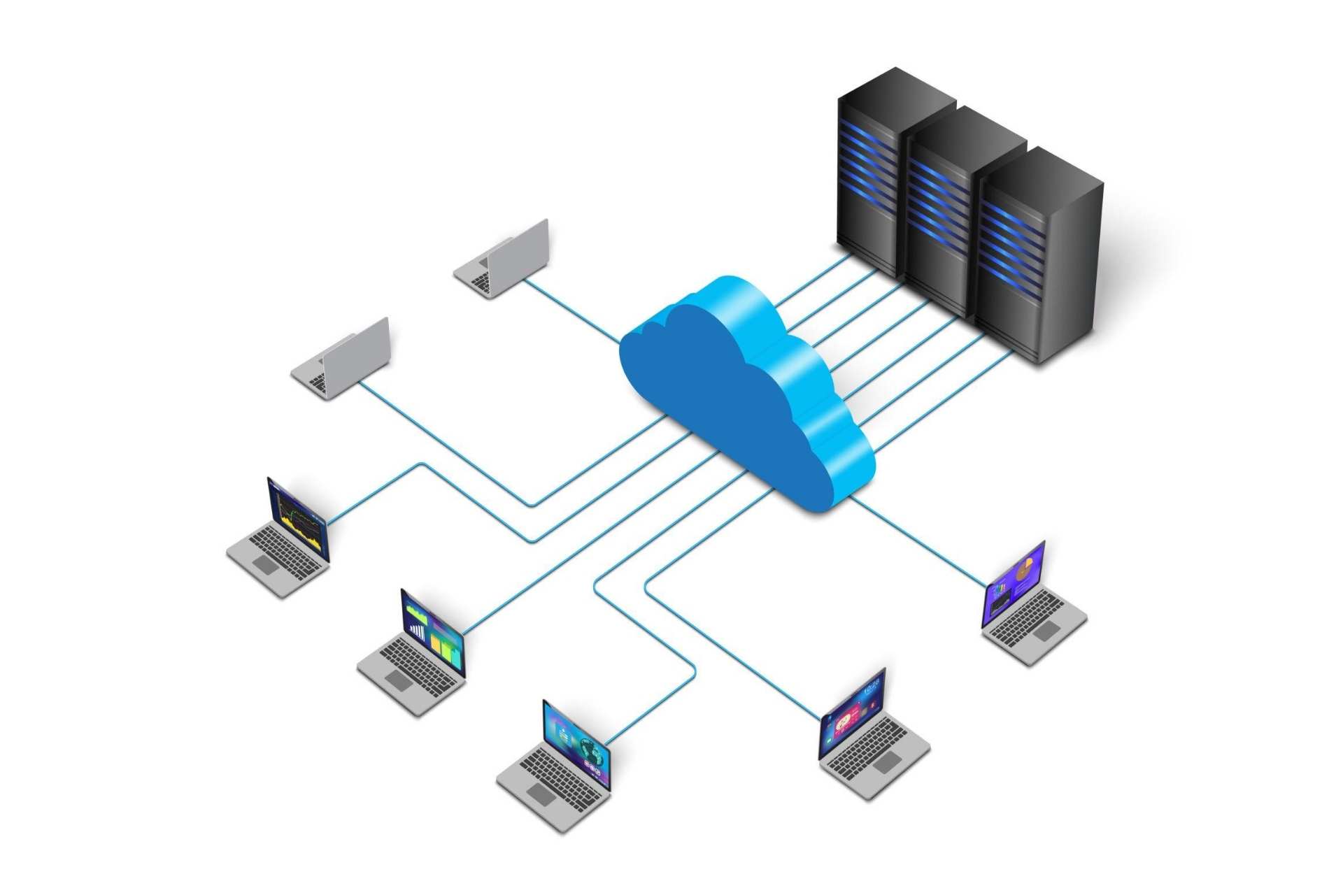 Website Hosting & Domain Services: What Your Business Really Needs